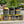 Load image into Gallery viewer, MANUKA HONEY GIFT PACK
