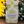 Load image into Gallery viewer, Otago Gold White Clover
